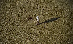 Heat, humidity of India's monsoon could extend summer heat stress as climate warms: Study