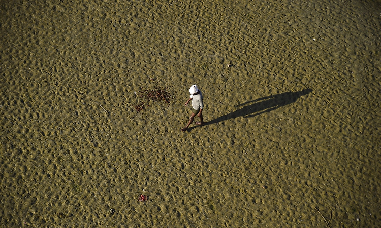 Heat, humidity of India's monsoon could extend summer heat stress as climate warms: Study