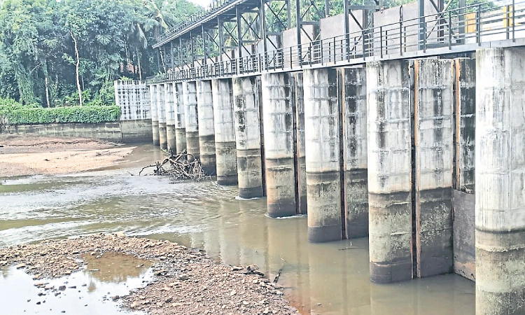 ನಾಗಪಟ್ಟಣ: ಗೇಟು ತೆರವು,ನೀರು ಬರಿದು!