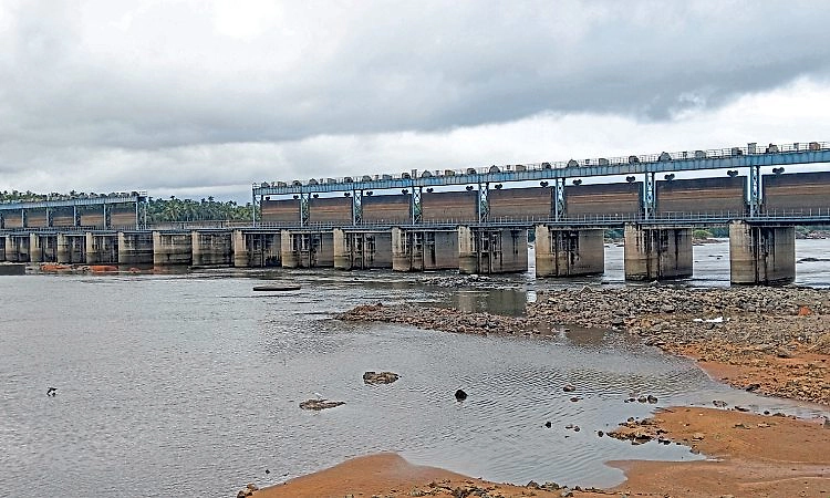 ನಿರಂತರ ಮಳೆ: ನದಿಯಲ್ಲಿ ನೀರಿನ ಹರಿವು ಹೆಚ್ಚಳ