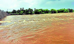 Rising Krishna River submerges several bridges in Nippani, Chikkodi