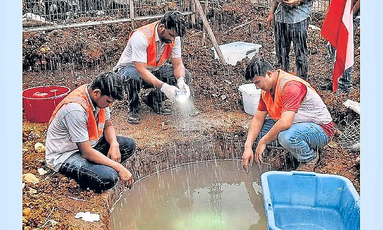 Udupi to fine people who fail to prevent mosquito breeding amid rise in dengue cases