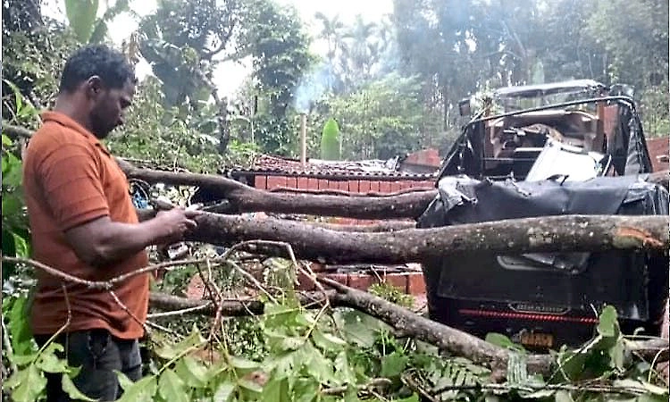 Heavy rain uproots tree, damages house and autorickshaw in Kalasa