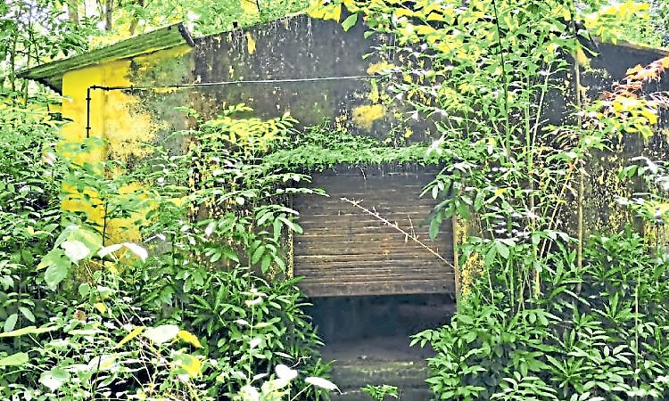 Bantwal: ಕಡೇಶಿವಾಲಯ ತರಬೇತಿ ಕೇಂದ್ರ ಪೊದೆಗಳ ನಡುವೆ ಅನಾಥ!