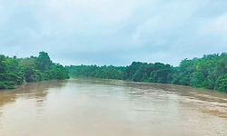 ಘಟ್ಟ ಭಾಗದಲ್ಲಿ ಭಾರೀ ಮಳೆ, ಕಳೆಗುಂದಿತು ಕಾರ್ಕಳ-ಹೆಬ್ರಿ ಹೊಳೆ