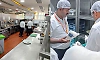 Bengaluru: Food safety raids expose expired food, mouldy vegetables at star hotels