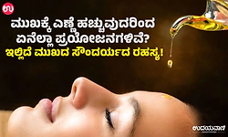ಮುಖಕ್ಕೆ ಎಣ್ಣೆ ಹಚ್ಚುವುದರಿಂದ ಏನೆಲ್ಲಾ ಪ್ರಯೋಜನಗಳಿವೆ? ಇಲ್ಲಿದೆ ಮುಖದ ಸೌಂದರ್ಯದ ರಹಸ್ಯ!