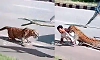 Leopard attacks forest staff who arrived for its rescue in Davanagere