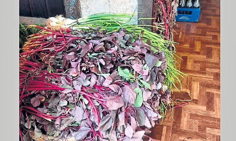 ಇಂದು "ಮೊಂತಿ ಫೆಸ್ತ್" ಸಂಭ್ರಮ