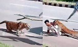Davanagere: ರಕ್ಷಣೆಗೆ ಬಂದ ಅರಣ್ಯ ಸಿಬ್ಬಂದಿ ಮೇಲೆಯೇ ಎರಗಿದ ಚಿರತೆ