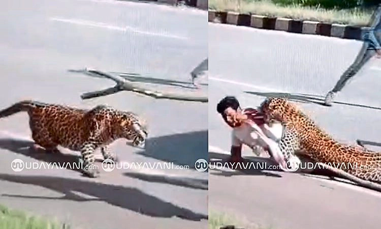 Davanagere: ರಕ್ಷಣೆಗೆ ಬಂದ ಅರಣ್ಯ ಸಿಬ್ಬಂದಿ ಮೇಲೆಯೇ ಎರಗಿದ ಚಿರತೆ