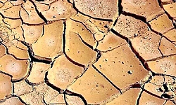 ರಾಜ್ಯದಲ್ಲಿ ಬರ ಸ್ಪಷ್ಟ