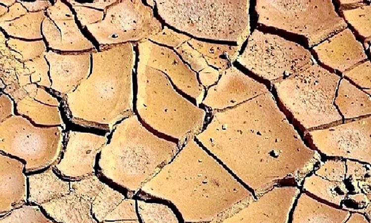 ರಾಜ್ಯದಲ್ಲಿ ಬರ ಸ್ಪಷ್ಟ