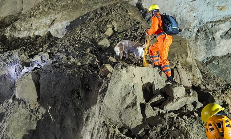 15 killed, several feared trapped as landslide hits bus in Himachal's Bilaspur; rescue operation underway