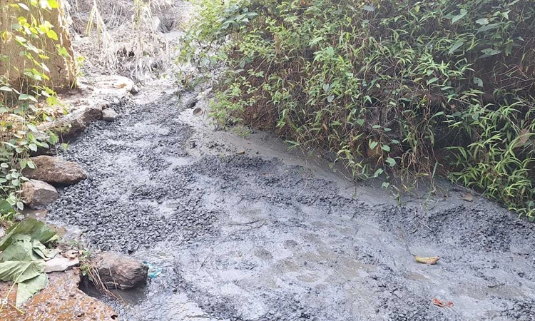 Uppinangady: ಮಣ್ಣಗುಂಡಿ ಹೊಳೆ ನೀರಿಗೆ ರಾಸಾಯನಿಕ; ಮೀನುಗಳ ಸಾವು, ಕೃಷಿಗೂ ಹಾನಿ ಆತಂಕ