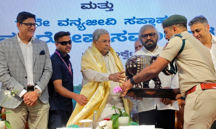 ಸಾಕು ಪ್ರಾಣಿಗಳ ತಿಂದಿದೆ ಎಂದು ಹುಲಿಗಳಿಗೆ ವಿಷ ಹಾಕಿದ್ರೆ ಸಹಿಸಲ್ಲ: ಸಿದ್ದರಾಮಯ್ಯ 