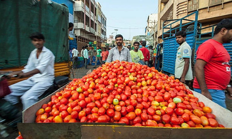 Udupi: Tomato price increases by Rs 10 per kg in just one week!