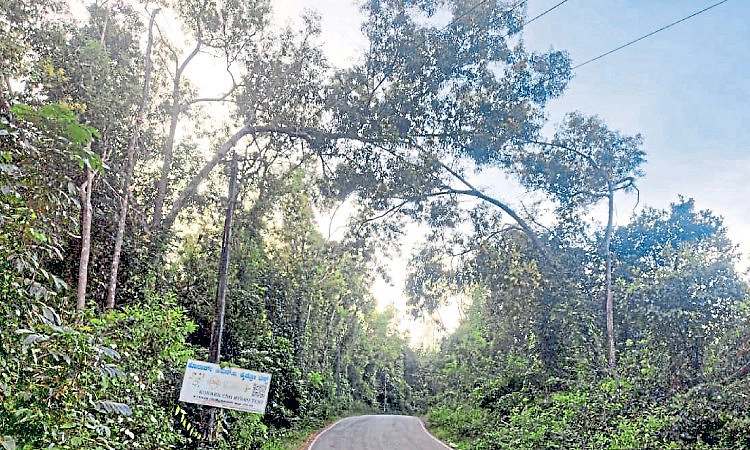 ಕುಕ್ಕೆಹಳ್ಳಿ - ಹಿರಿಯಡಕ ರಸ್ತೆಯಲ್ಲಿ ಅಪಾಯದ ನೆರಳು