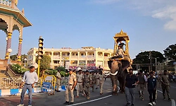 ಮರದ ಅಂಬಾರಿ ಹೊರಲು ಮಹೇಂದ್ರ'  ವಿಫಲ: ತಾಲೀಮು ಮೊಟಕು