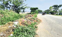 Gundlupete: ಬಸವಾಪುರದ ಹೆದ್ದಾರಿ ಬದಿಯಲ್ಲಿ ಕಸದ ರಾಶಿ!