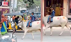 Viral Video: ಜನನಿಬಿಡ ರಸ್ತೆಯಲ್ಲಿ ಹಸುವಿನ ಮೇಲೆ ಸವಾರಿ ಮಾಡಿದ ಬಾಲಕ