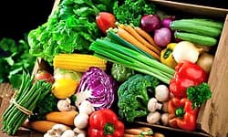 Health Tips: ಡಯಾಬಿಟಿಸ್‌ ಇದ್ದವರು ಈ ಐದು ತರಕಾರಿಗಳನ್ನು ಹೆಚ್ಚು ಸೇವಿಸುವುದು ಒಳ್ಳೆಯದು