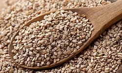 Sesame on Your Winter Plate: The Ancient Answer to Modern Wellness