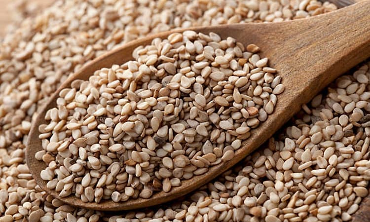 Sesame on Your Winter Plate: The Ancient Answer to Modern Wellness