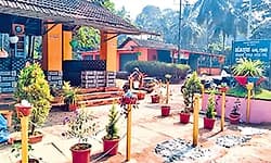 Kadaba: ಬಲ್ಯ ಹೊಸಮಠ ಬಸ್‌ ತಂಗುದಾಣಕ್ಕೆ ಹಸುರು ಕಳೆ