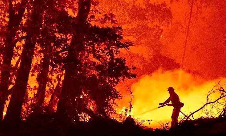 Development: ಅಭಿವೃದ್ಧಿಯ ಹೆಸರಿನಲ್ಲಿ ಪ್ರಕೃತಿಯ ನಾಶ