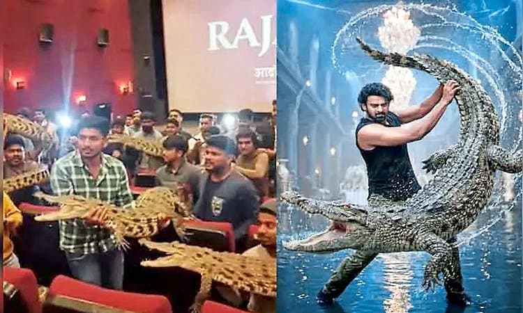 Video: ʼದಿ ರಾಜಾಸಾಬ್‌ʼ ಕ್ರೇಜ್:‌ ಥಿಯೇಟರ್‌ಗೆ ಮೊಸಳೆ ಹಿಡಿದು ಬಂದ ಪ್ರಭಾಸ್‌ ಫ್ಯಾನ್ಸ್.!