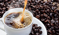 India International Coffee Festival from Feb 12