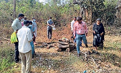 Sagara: ಕಾಗೋಡಿನಲ್ಲಿ ಮಂಗಗಳ ಸಾವು... ಜನರಲ್ಲಿ ಭಯ