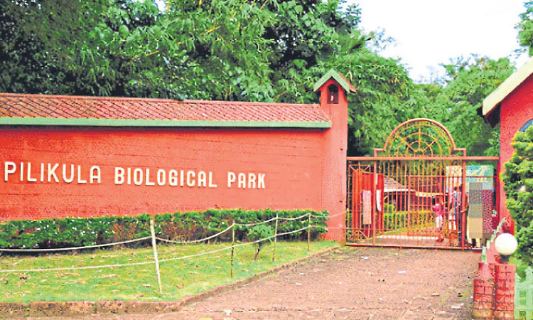 ಪಿಲಿಕುಳ ಜೈವಿಕ ಉದ್ಯಾನವನ ನಿರ್ವಹಣೆ ಹೊಣೆ ಶೀಘ್ರ ಮೃಗಾಲಯ ಪ್ರಾಧಿಕಾರಕ್ಕೆ