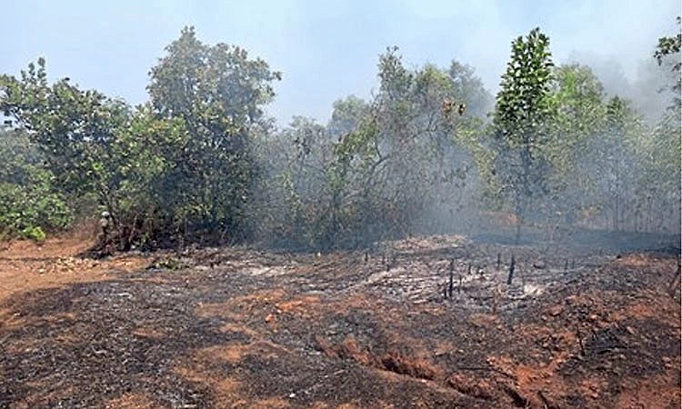 Kundapura: ಹಕ್ಲಾಡಿ : ಆಕಸ್ಮಿಕ ಬೆಂಕಿ ; ನೀರಿನ ಪಂಪ್, ಇನ್ನಿತರ ಪರಿಕರಕ್ಕೆ ಹಾನಿ