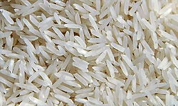 Uppunda: ಬಿಜೂರು: ಅಕ್ಕಿ ಅಕ್ರಮ ದಾಸ್ತಾನು ವಶ