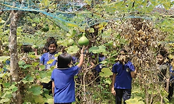 ಹೆಬ್ರಿ: ಶಿವಪುರ ಶಾಲೆ ಬಿಸಿಯೂಟಕ್ಕೆ ಮಕ್ಕಳೇ ಬೆಳೆದ ತರಕಾರಿ!