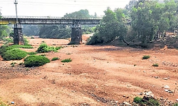 Puttur: ಗೌರಿ ಹೊಳೆ ಬರಿದು, ತೋಡುಗಳಲ್ಲೂ ನೀರಿಲ್ಲ