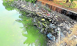 Subrahmanya: ನದಿಗೆ ಕಸ ಎಸೆತ: ದಂಡ