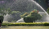 Entry fee for Cubbon Park on the lines of Lalbagh under consideration