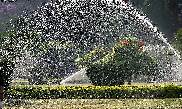 Entry fee for Cubbon Park on the lines of Lalbagh under consideration