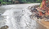 Nagodi Ghat road deteriorates during monsoon, raising landslide and falling tree concerns