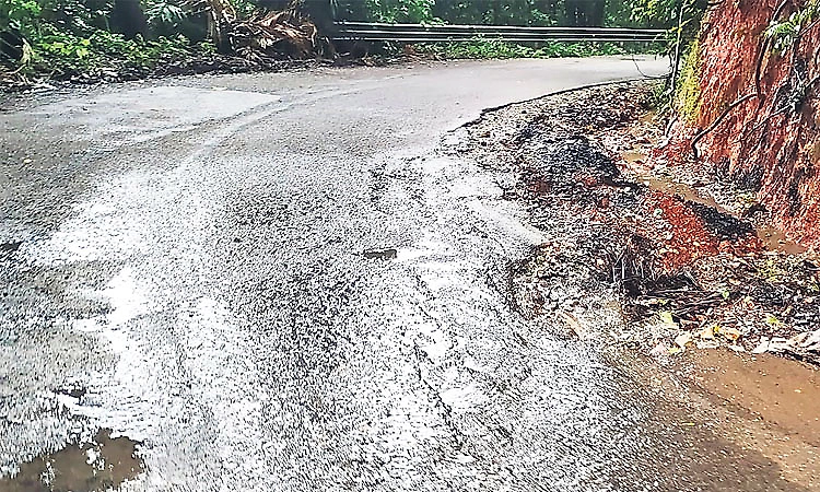 Nagodi Ghat road deteriorates during monsoon, raising landslide and falling tree concerns