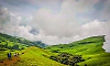 Entry to Netravati Peak and Kadamagundi Falls temporarily banned amid heavy rains