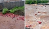 Thousands of LPG cylinders swept into river in Raigad; video goes viral