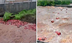 Thousands of LPG cylinders swept into river in Raigad; video goes viral