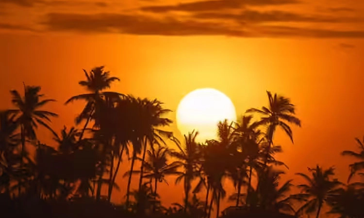 ಜಗತ್ತಿನ 99% ಜನರಿಗೆ ಒಂದೇ  ಬಾರಿ ಸೂರ್ಯದರ್ಶನ: ಅಚ್ಚರಿ