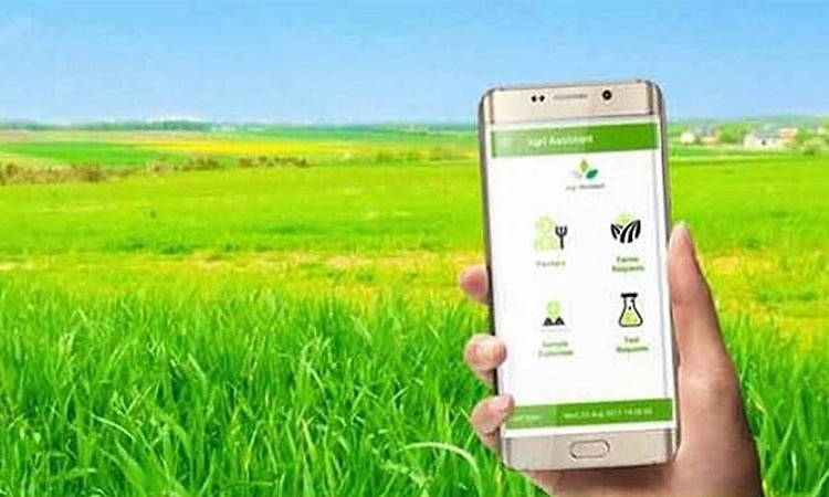 ಮಂಗಳೂರು: ರೈತರಿಂದಲೇ ಮುಂಗಾರು ಬೆಳೆ ಸಮೀಕ್ಷೆ; ಇಲ್ಲಿವೆ ಮಾಹಿತಿ