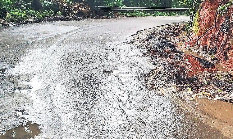 ನಾಗೋಡಿ ಘಾಟಿ ರಸ್ತೆ: ಮಳೆಗಾಲದಲ್ಲಿ ಮತ್ತಷ್ಟು ಜರ್ಜರಿತ; ಭೂಕುಸಿತ, ಮರ ಬೀಳುವ ಭೀತಿ