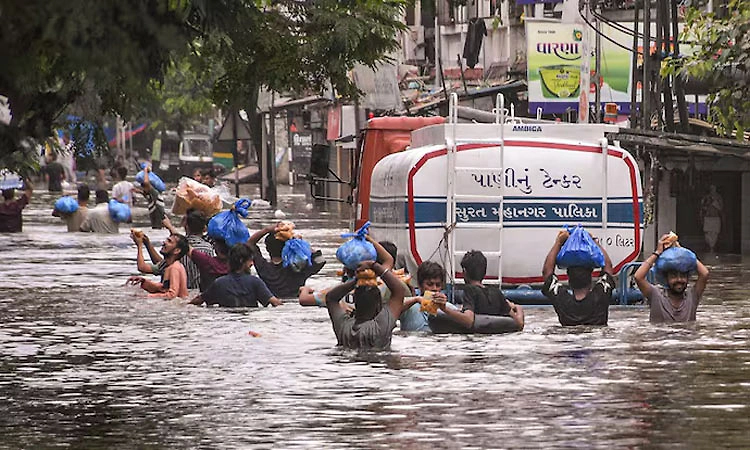 Monsoon: ಮುಂದುವರಿದ ಮುಂಗಾರು ಮಳೆ ಆರ್ಭಟ-ದೆಹಲಿ, ಸೂರತ್‌, ಮಹಾರಾಷ್ಟ್ರ, ಕೇರಳ ತತ್ತರ